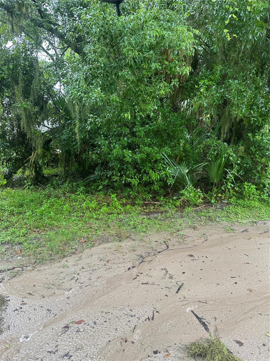 Image 5 of 13 For Beresford Avenue
