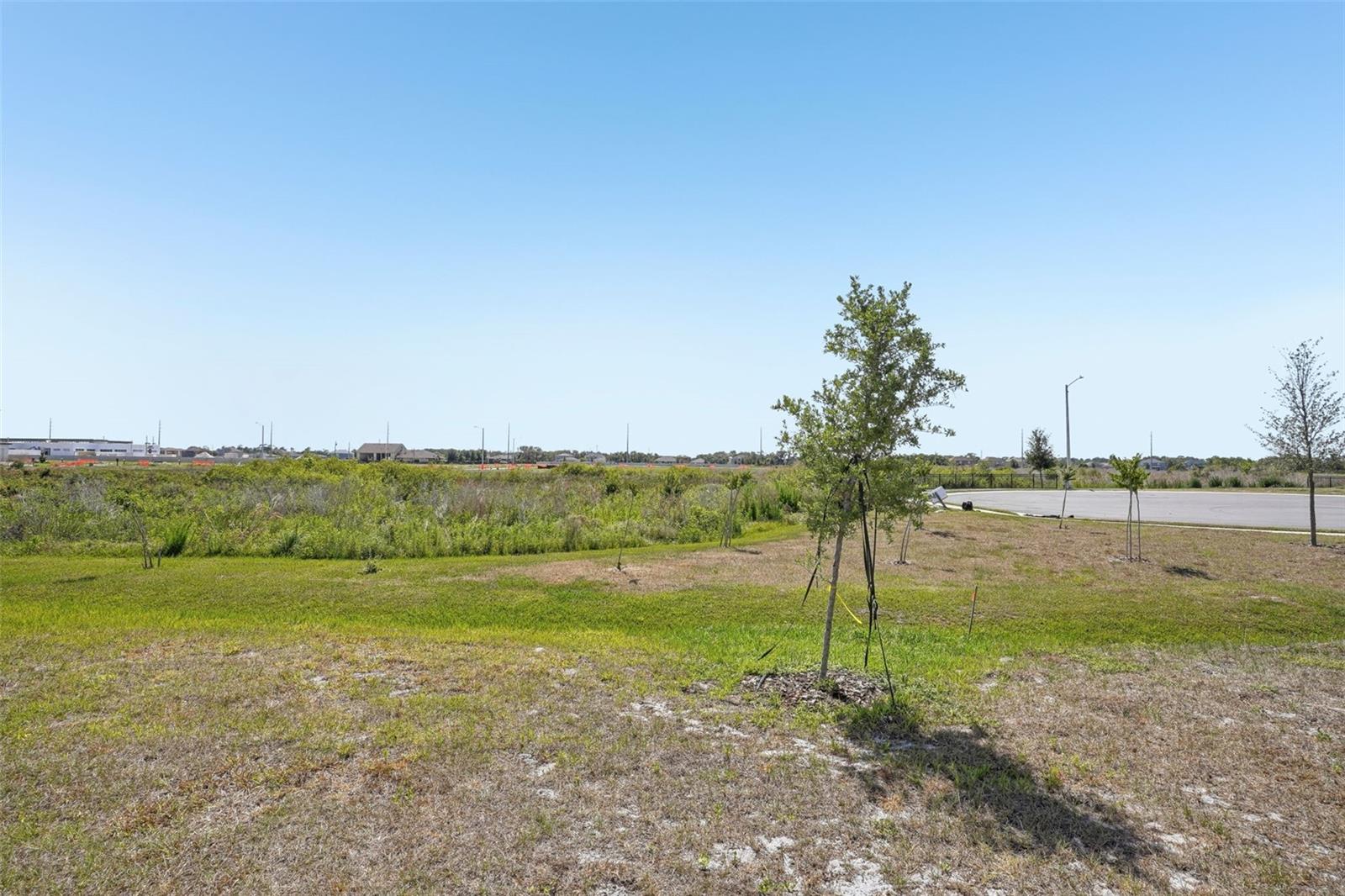 Image 38 of 38 For 3253 Viceroy Court