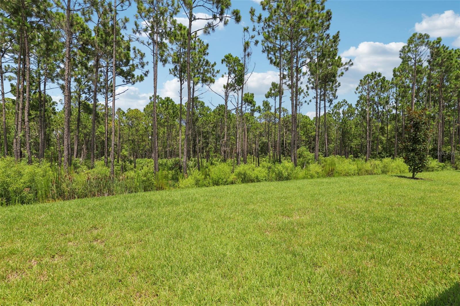 Image 36 of 40 For 20 Ararat Drive