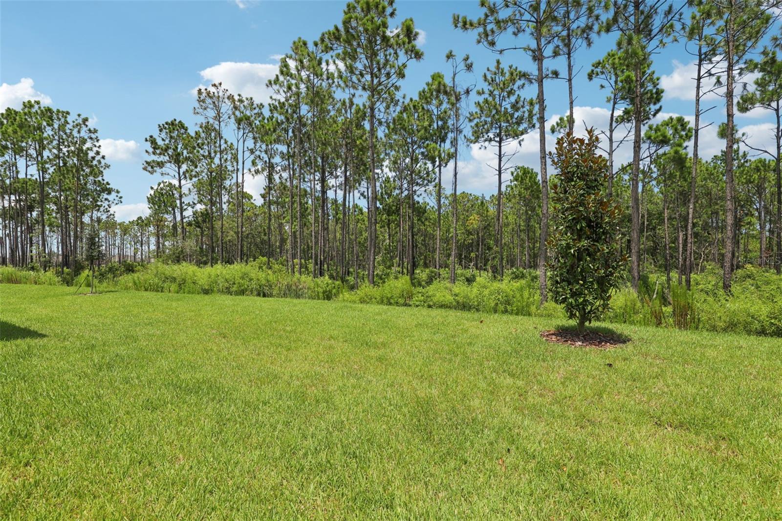 Image 40 of 40 For 20 Ararat Drive