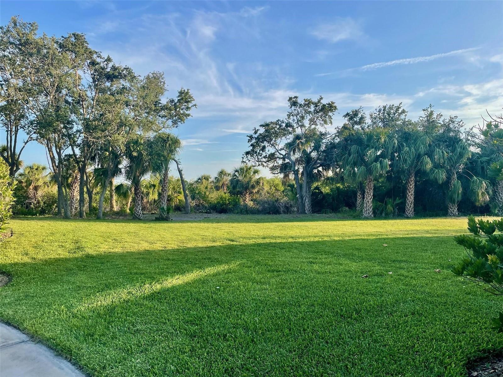 Listing photo id 59 for 302 Coco Plum Court
