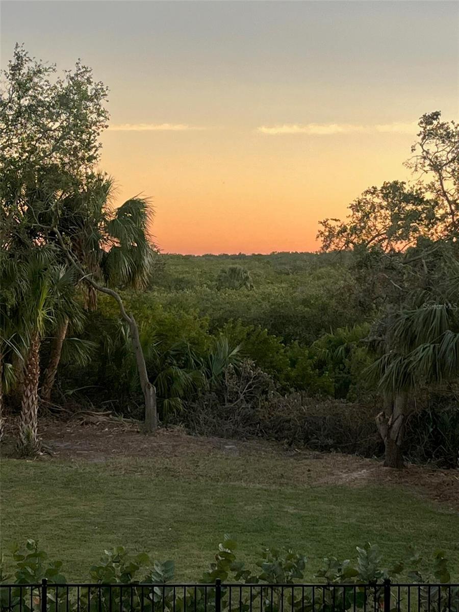 Listing photo id 60 for 302 Coco Plum Court