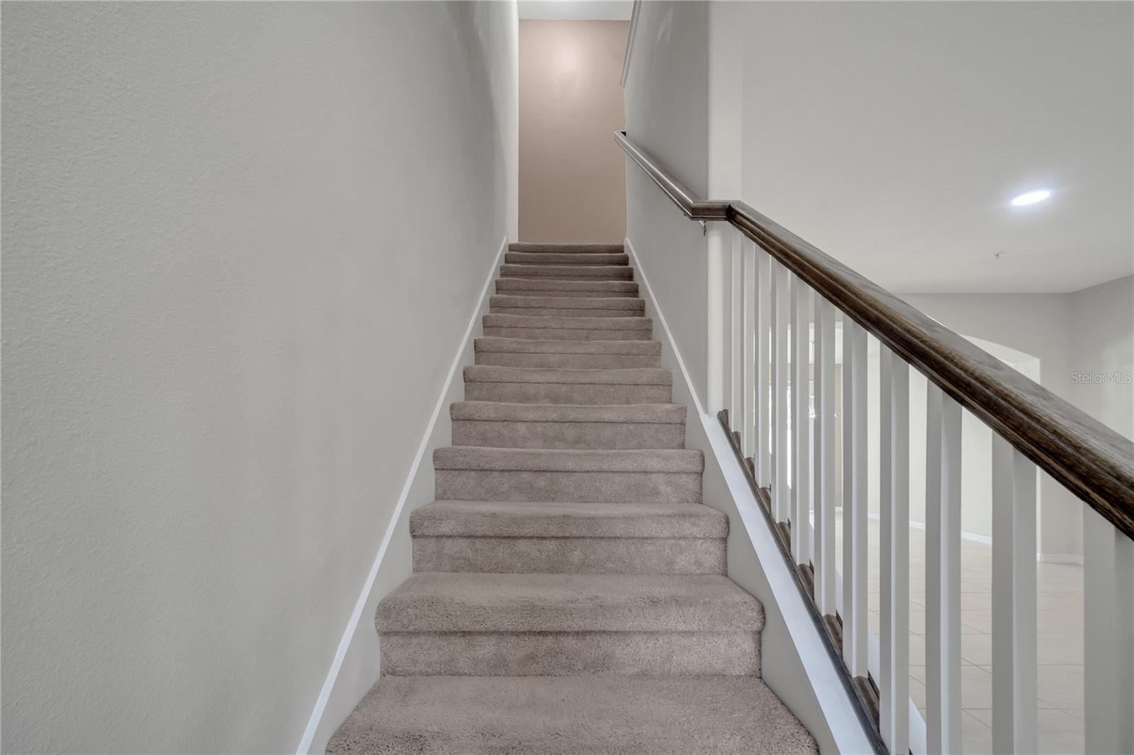 Image 13 of 36 For 9559 Silver Buttonwood Street
