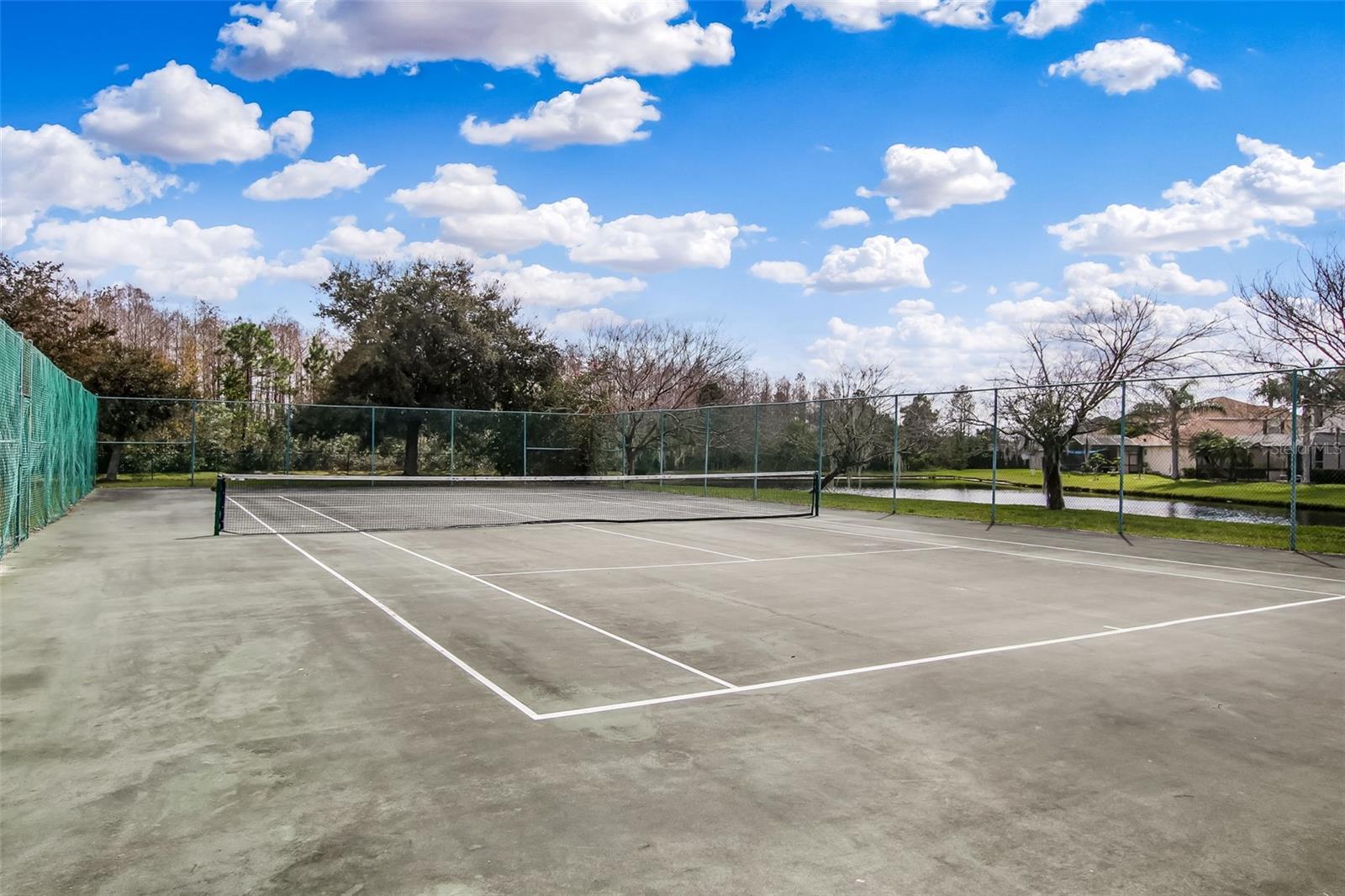 Image 43 of 44 For 12207 Shadowbrook Lane