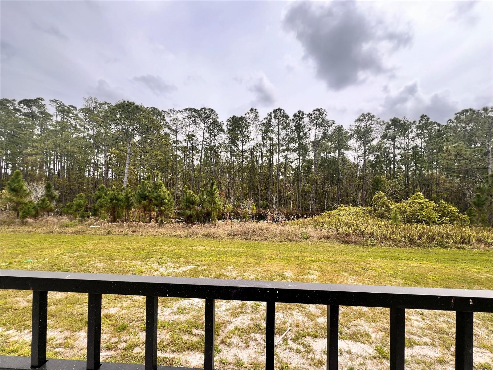 Image 36 of 36 For 6442 Pine Warbler Way