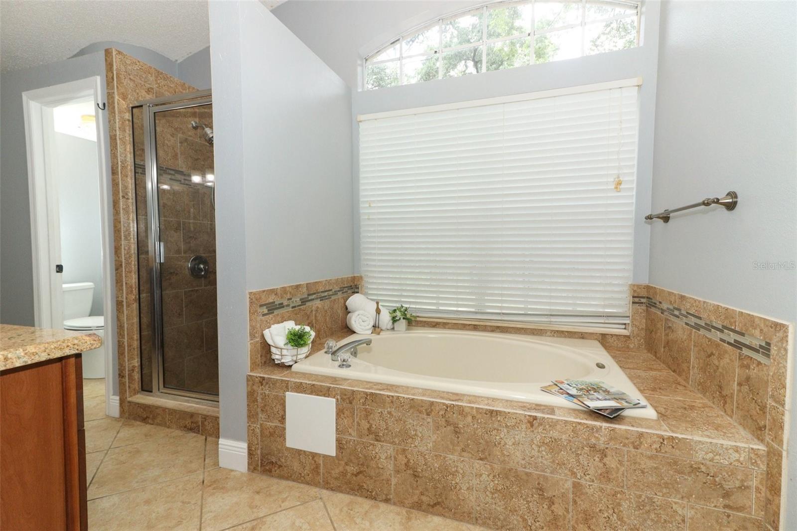 Image 31 of 63 For 5165 Mystic Point Court