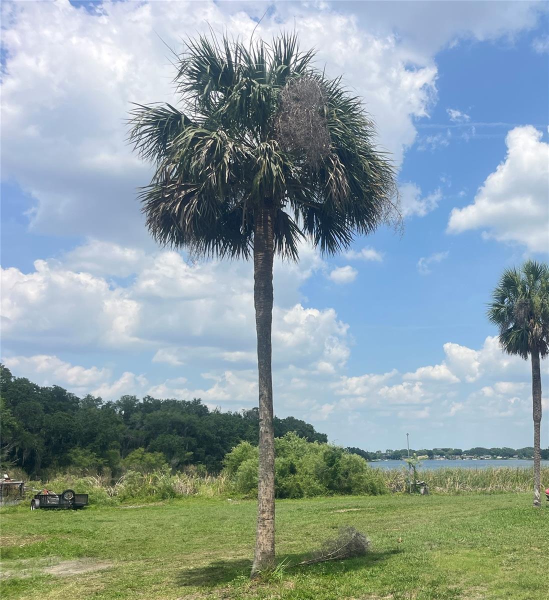 Details for 1231 43rd St, ORLANDO, FL 32839