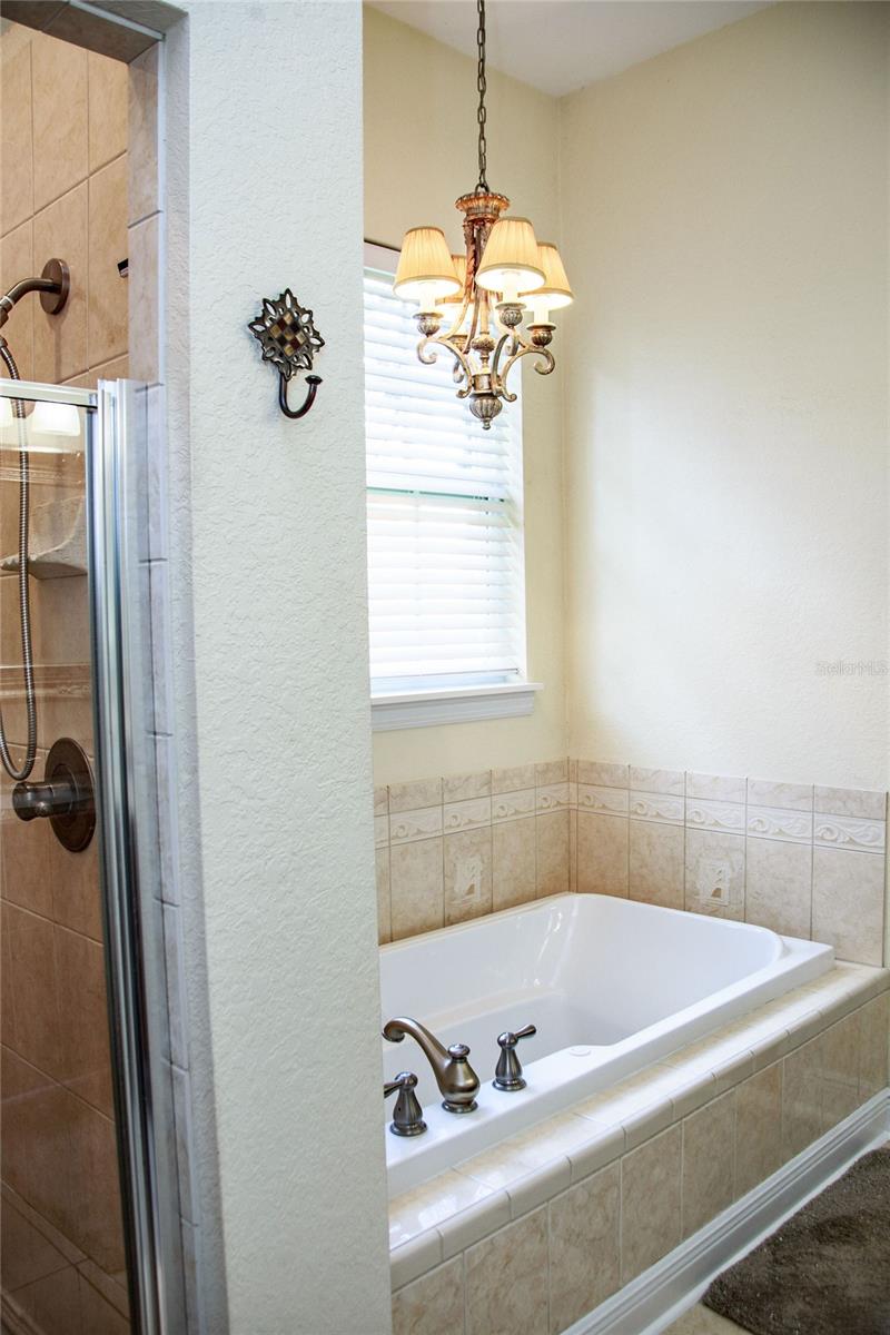 Image 35 of 49 For 2906 Country Breeze Drive