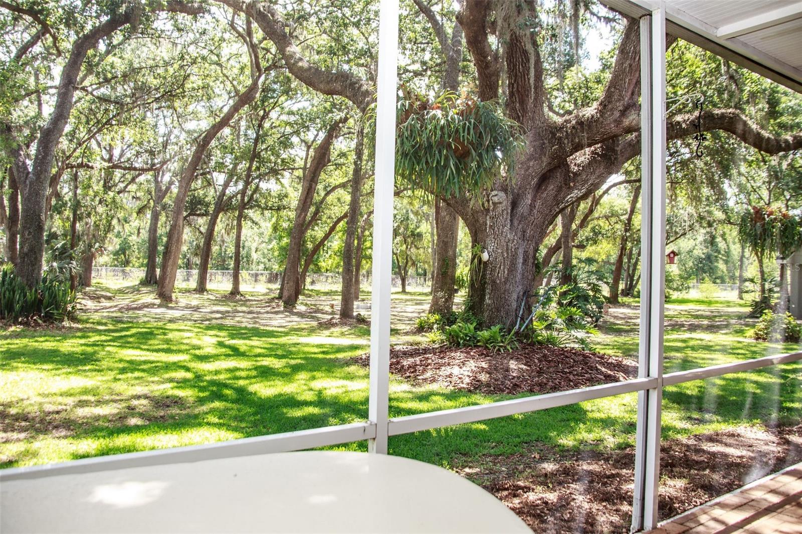 Image 45 of 49 For 2906 Country Breeze Drive