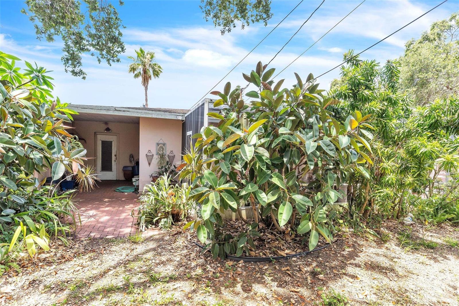 Image 2 of 39 For 251 Tropic Boulevard W