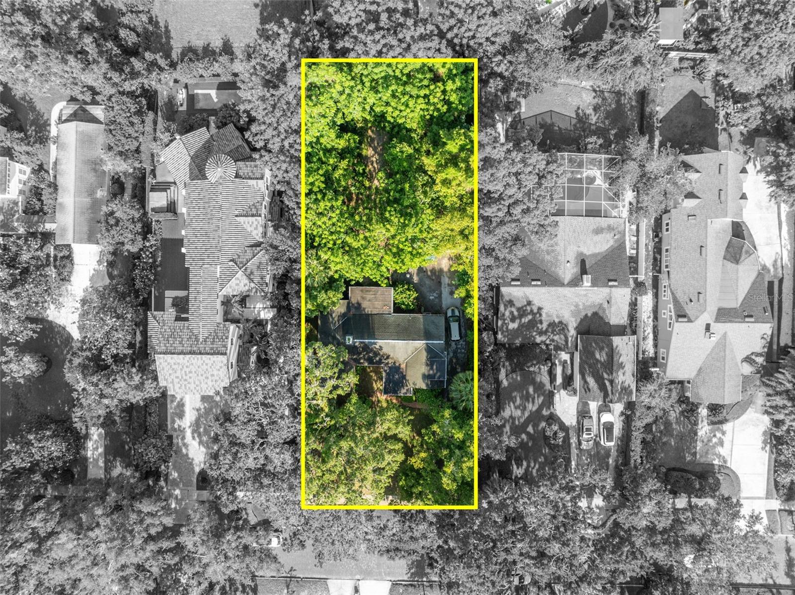 Image 15 of 23 For 171 Cortland Avenue