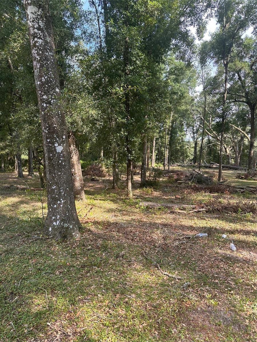 Image 14 of 14 For Tbd 111th Lane