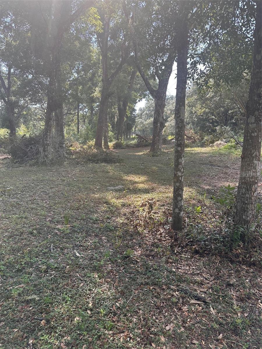 Image 6 of 14 For Tbd 111th Lane
