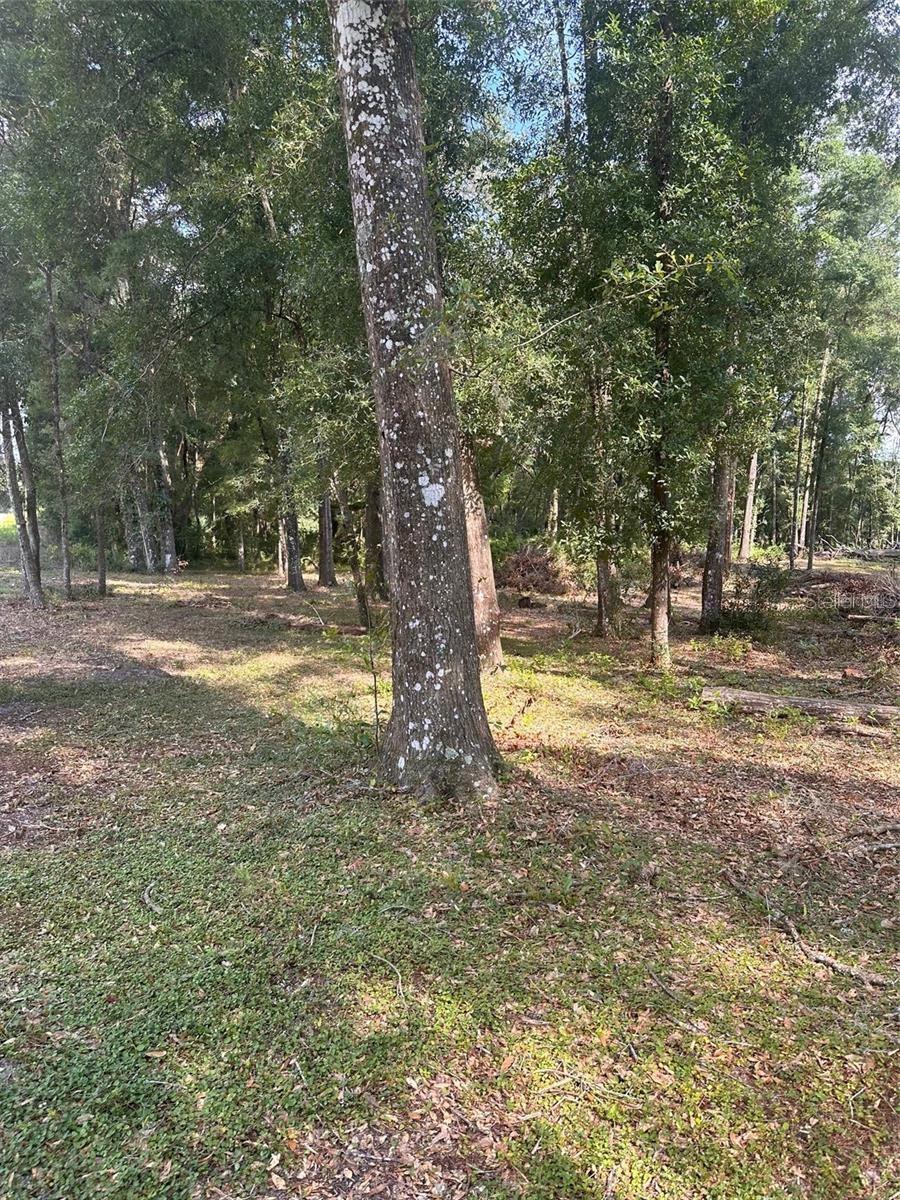 Image 7 of 14 For Tbd 111th Lane