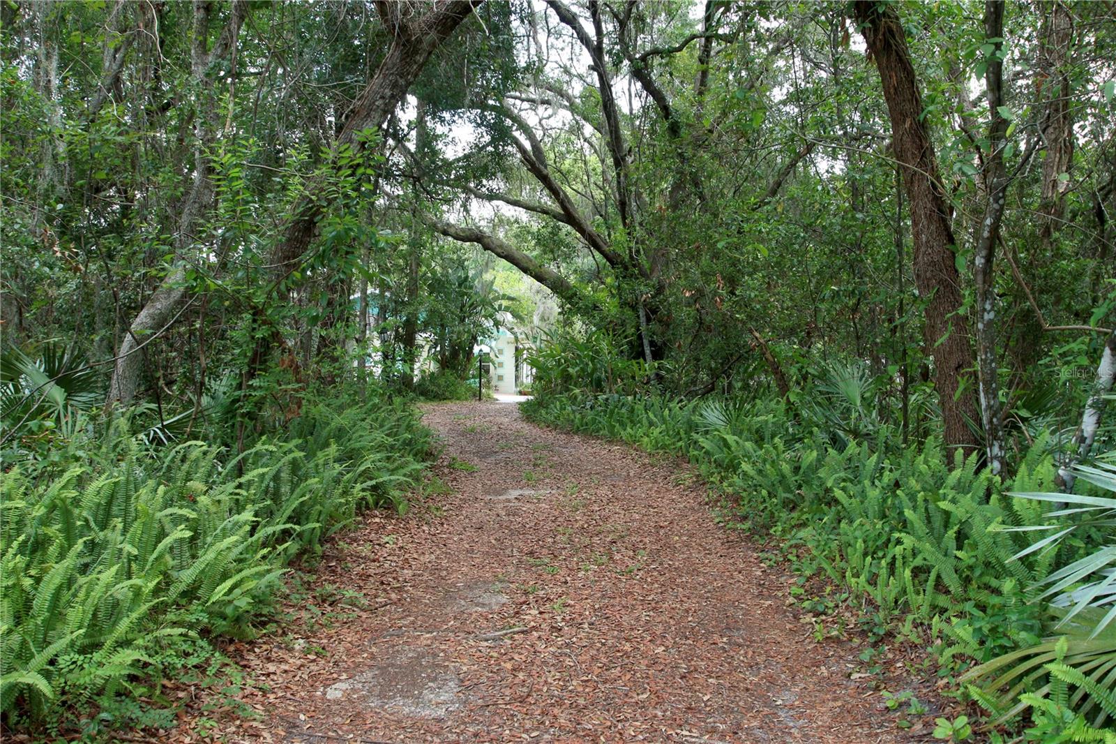 Image 8 of 35 For 1405 Periwinkle Avenue