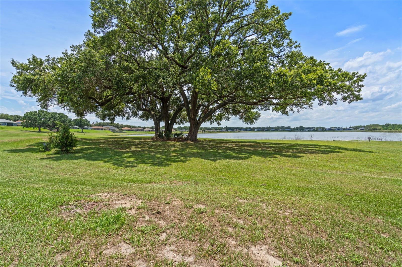 Image 3 of 50 For 16729 Tall Grass Lane