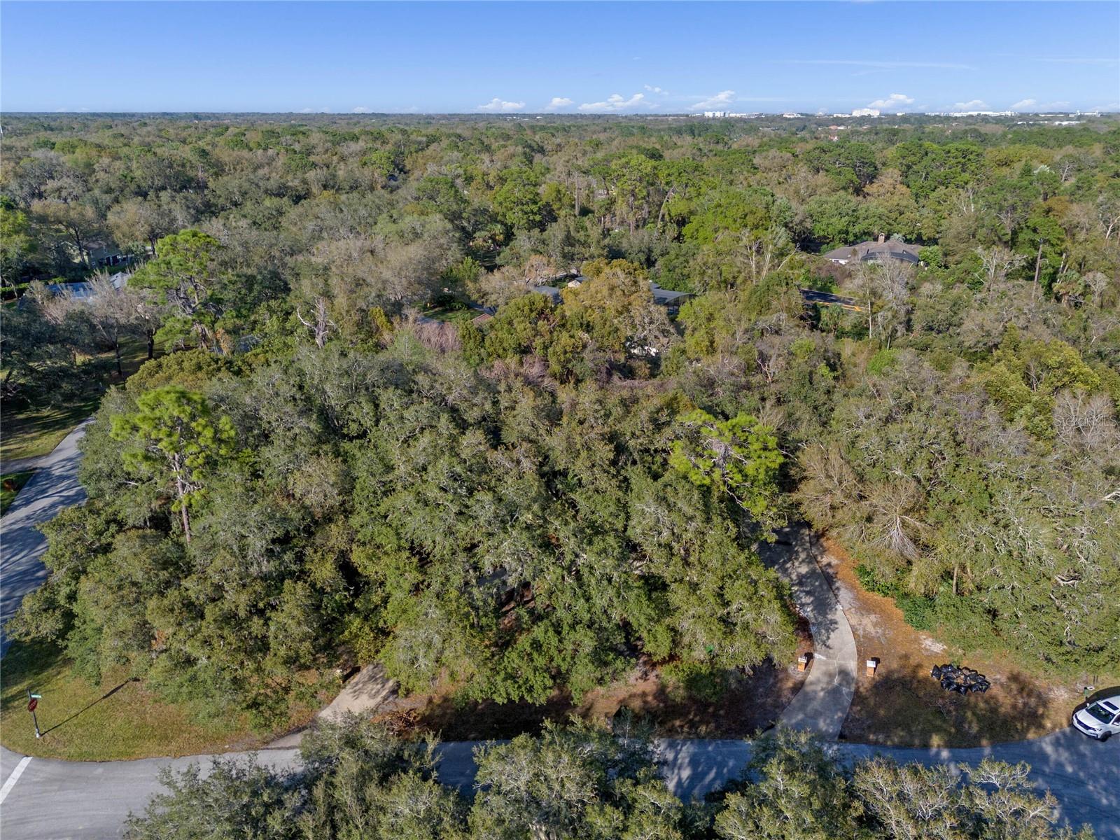 Image 42 of 47 For 140 Sweet Bay Circle