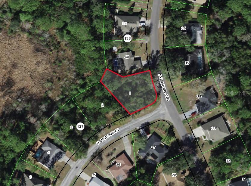 Listing Details for 2 Mangrove Court S, HOMOSASSA, FL 34446