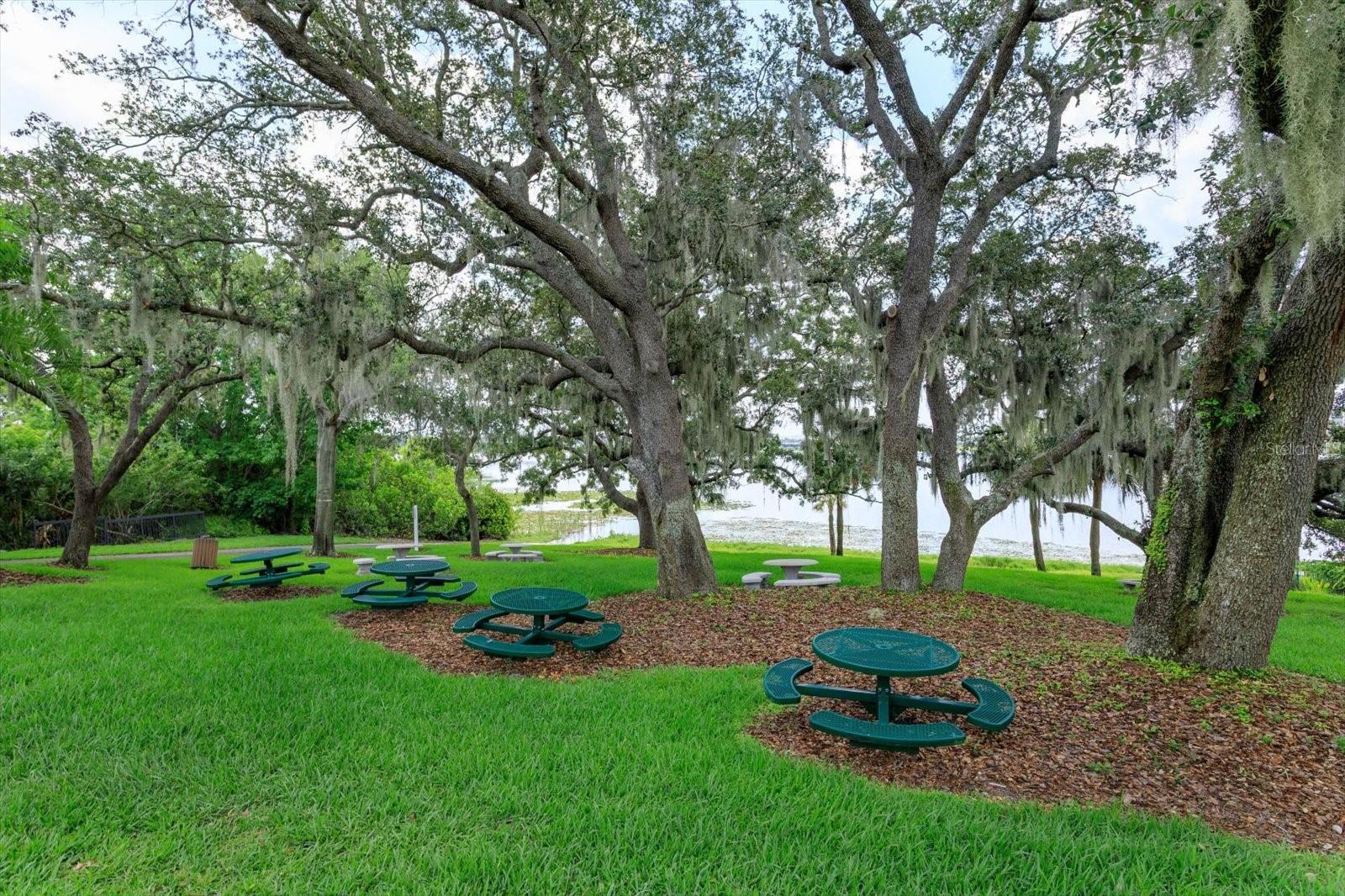 Image 34 of 34 For 8143 Terragona Ct