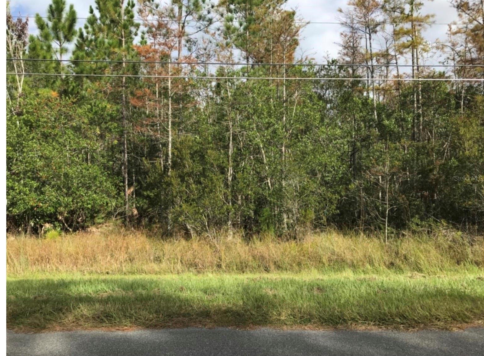 Listing Details for Robertson Street, ORLANDO, FL 32833