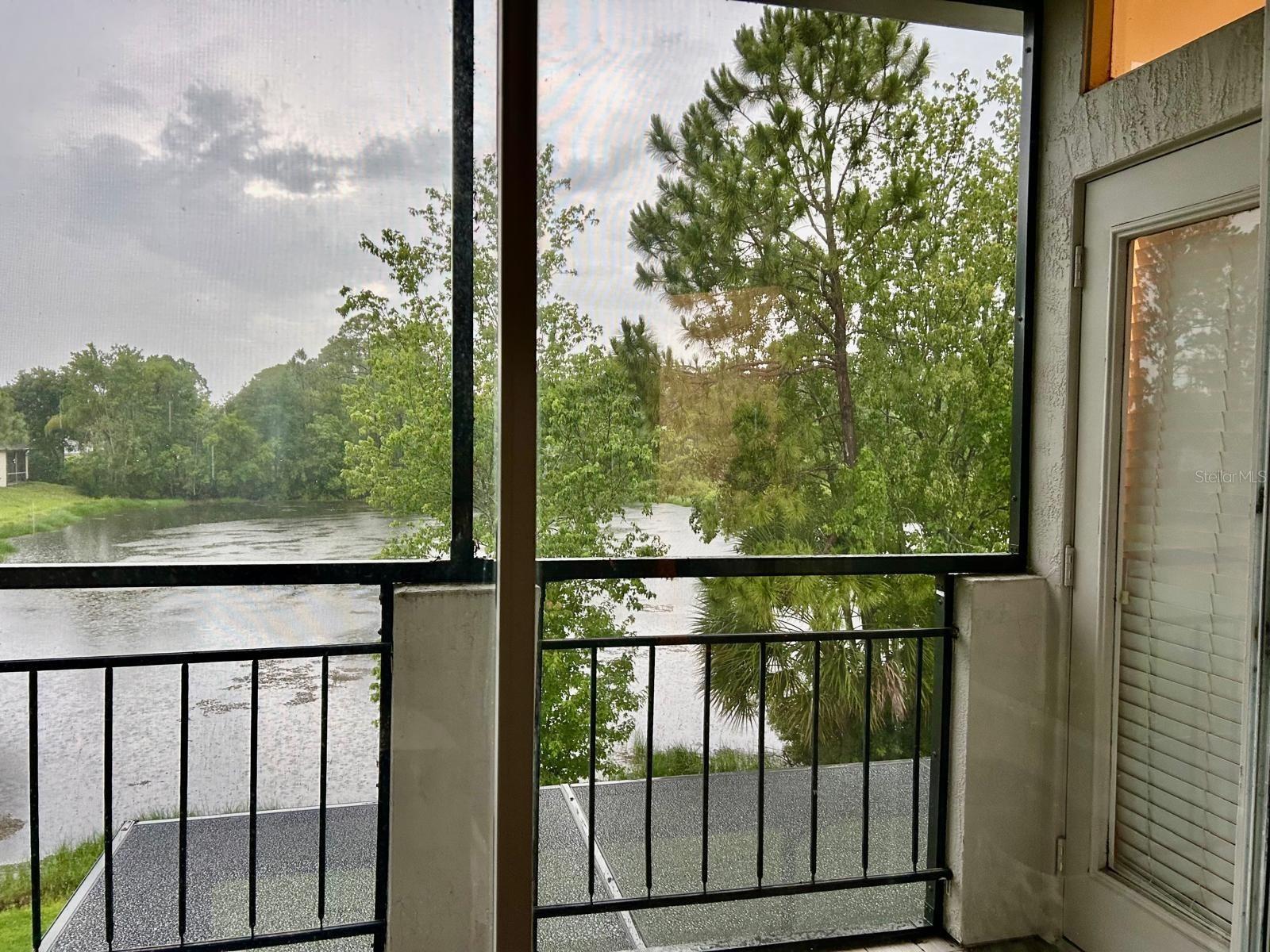 Listing photo id 27 for 932 Lake Sterling Court