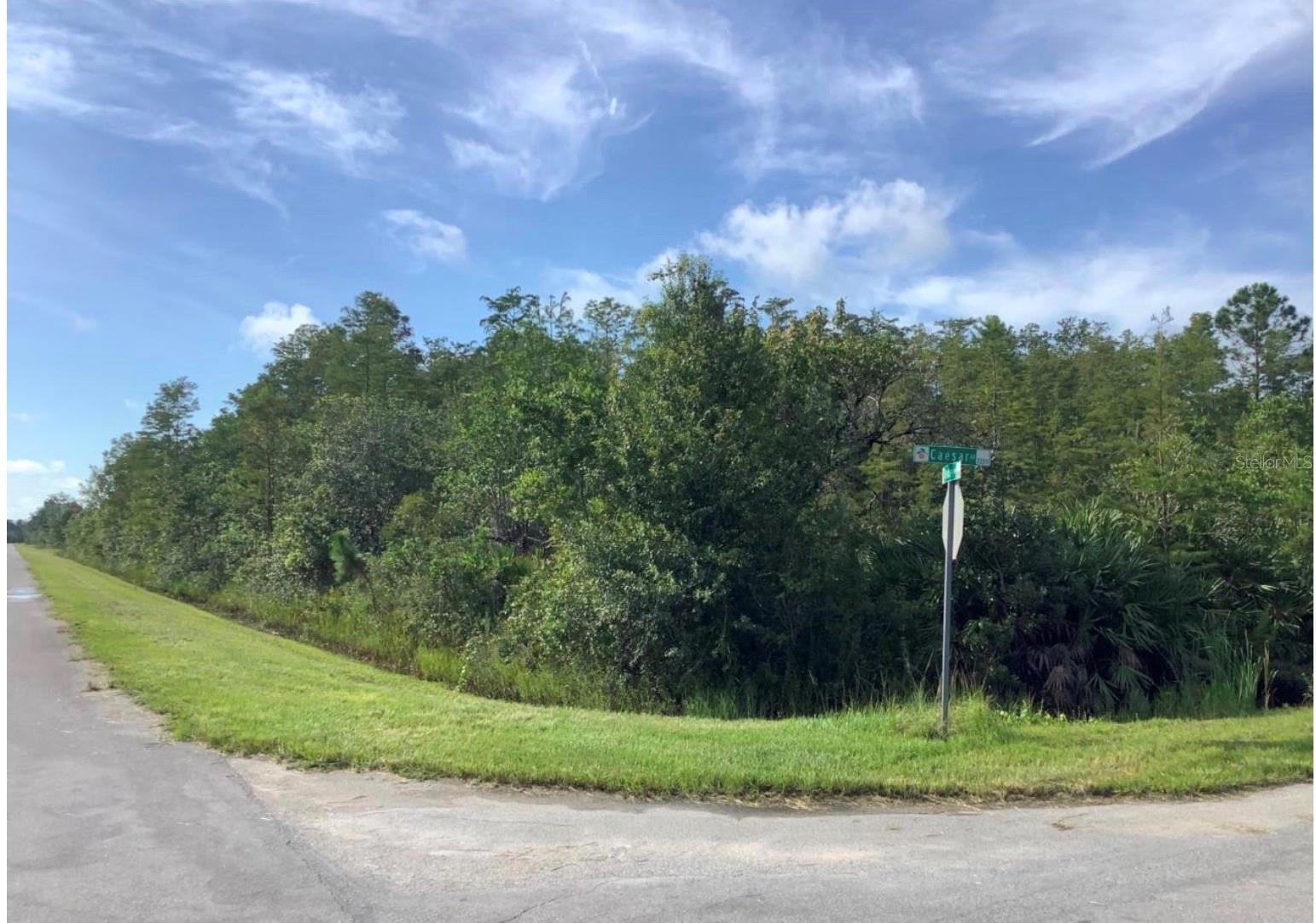 Listing Details for Caesar Avenue, ORLANDO, FL 32833