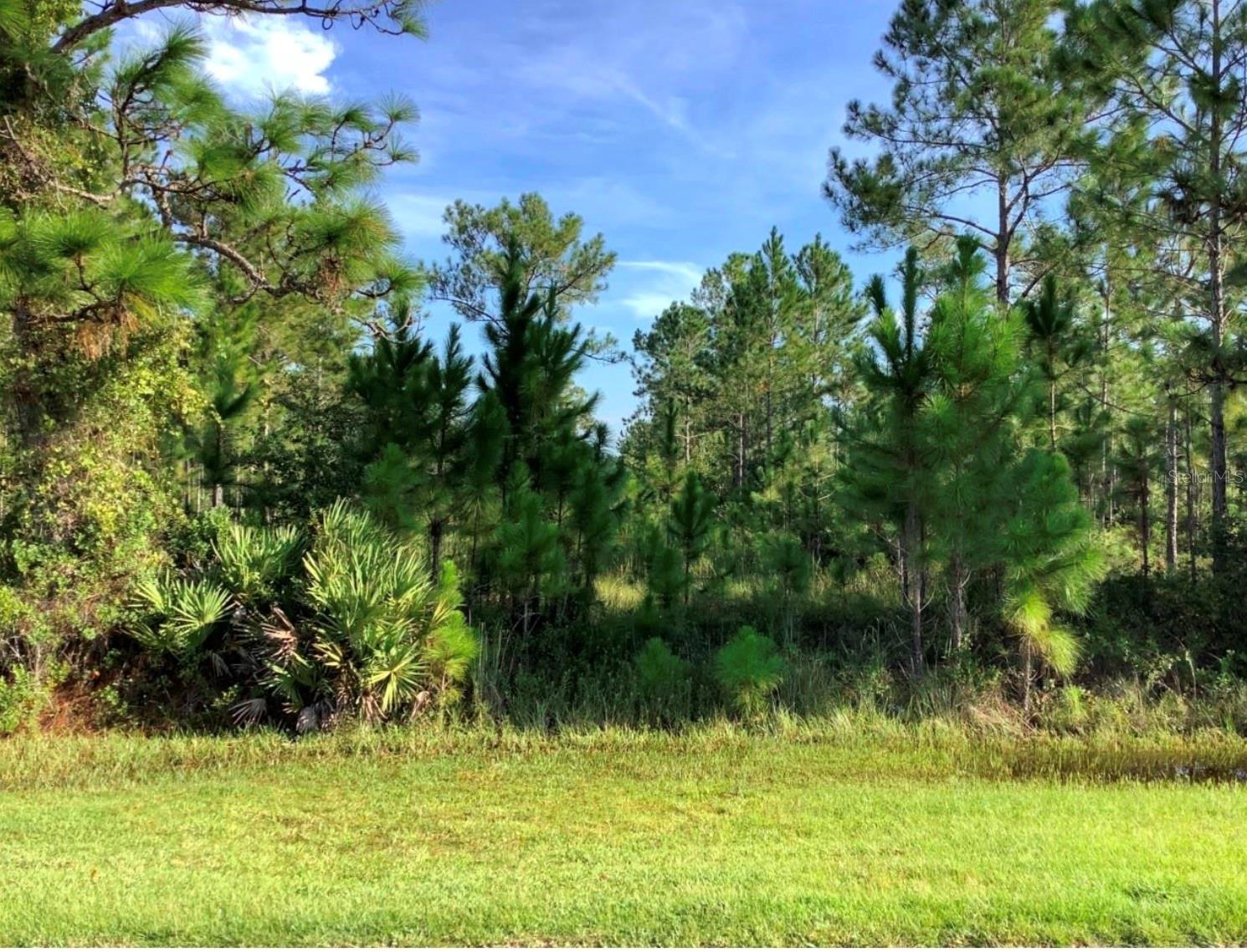 Listing Details for Sabal Street, ORLANDO, FL 32833