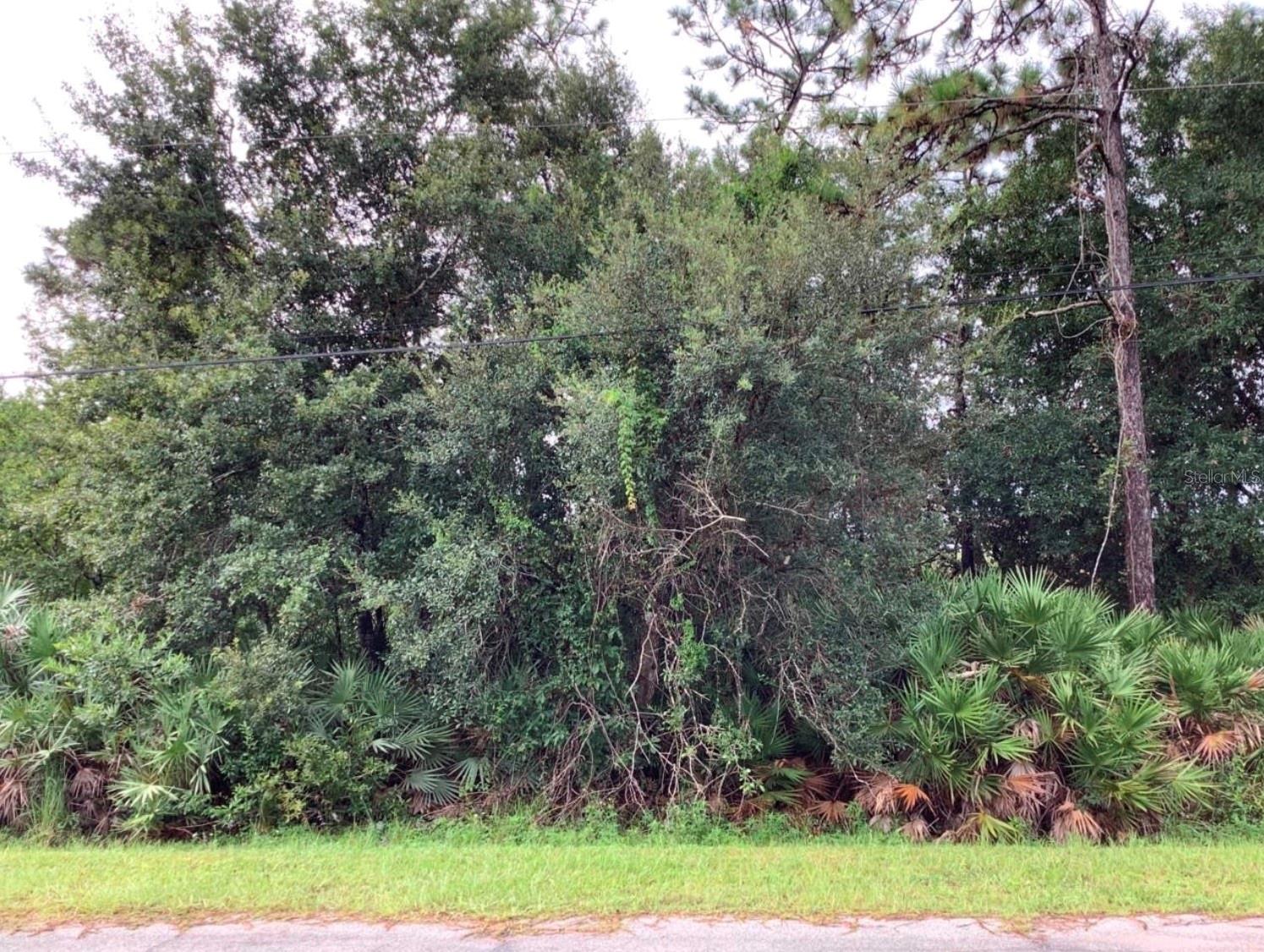 Listing Details for Odham Street, ORLANDO, FL 32833