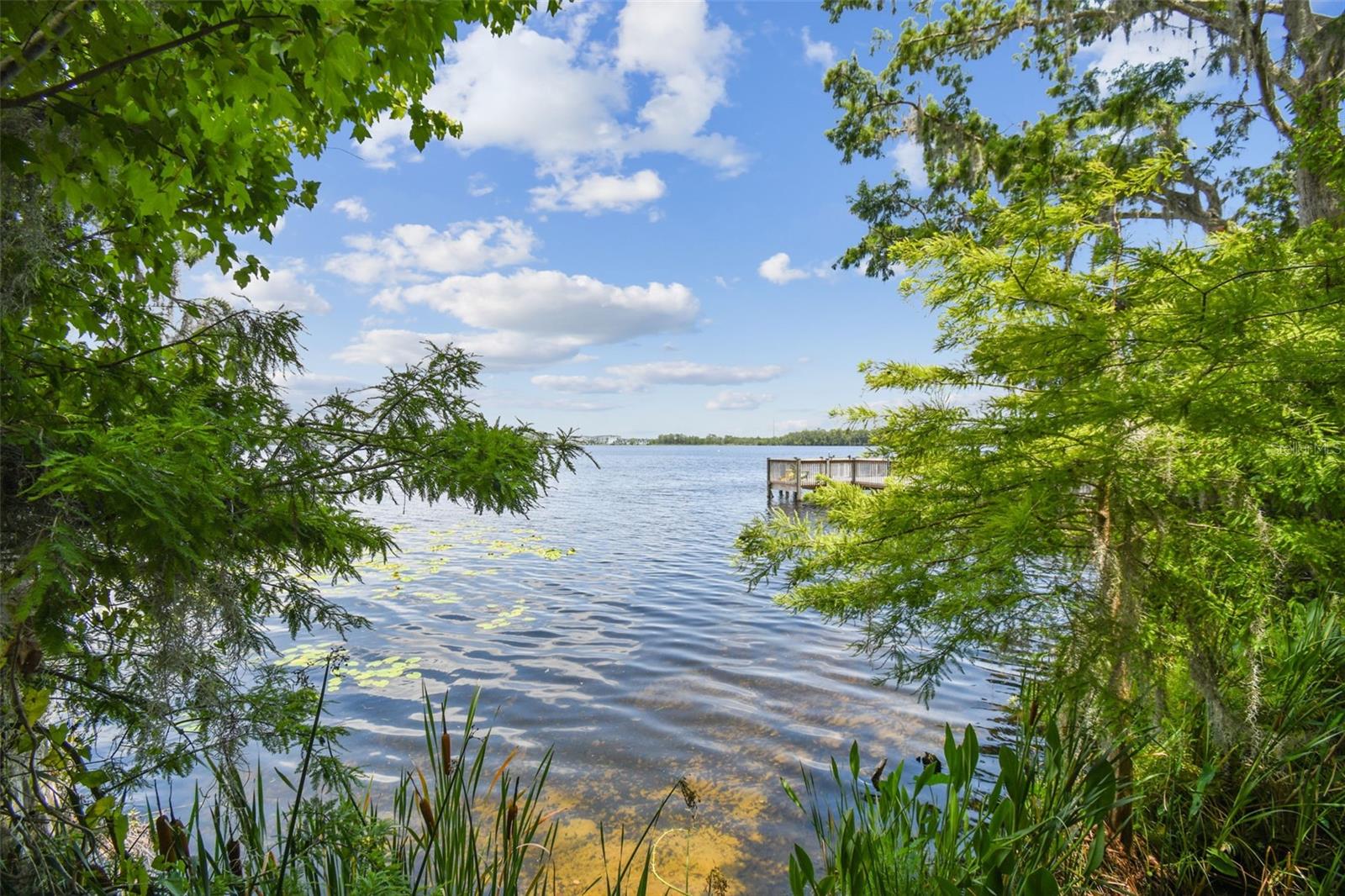 Image 10 of 57 For 13427 Blue Heron Beach Dr  404
