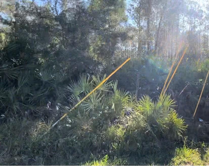 Details for 1645 11th Avenue, DELAND, FL 32724