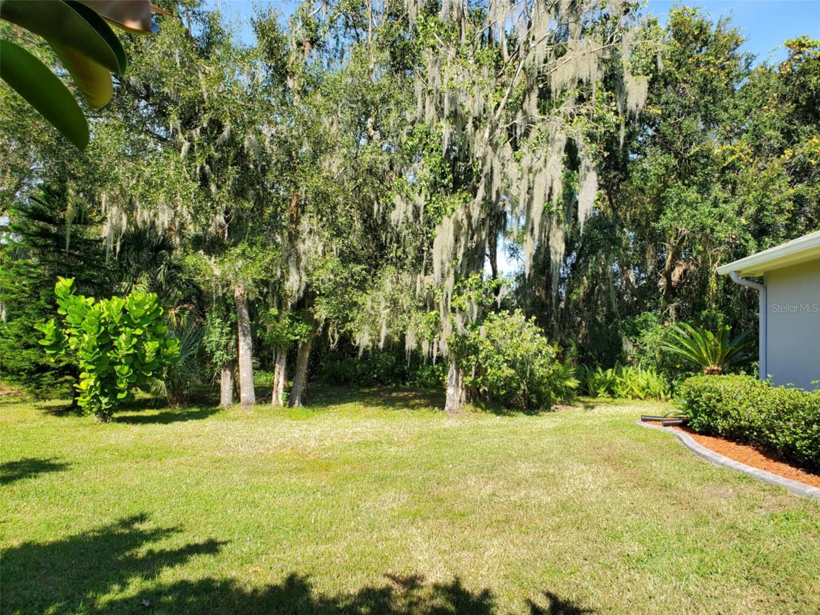 Listing photo id 4 for 4351 Winding Oaks Circle