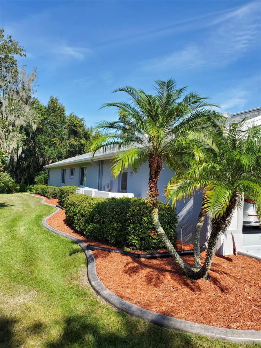 Listing photo id 5 for 4351 Winding Oaks Circle