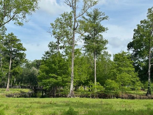 Image 13 of 41 For Tbd Corkwood Lane