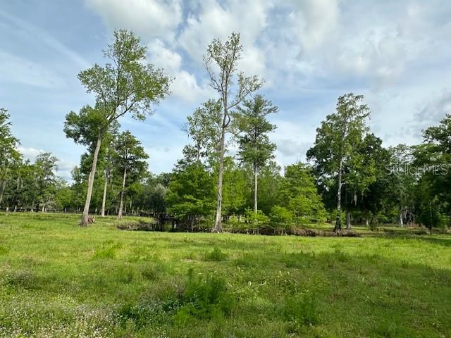 Image 14 of 41 For Tbd Corkwood Lane