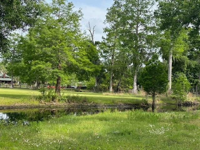 Image 16 of 41 For Tbd Corkwood Lane