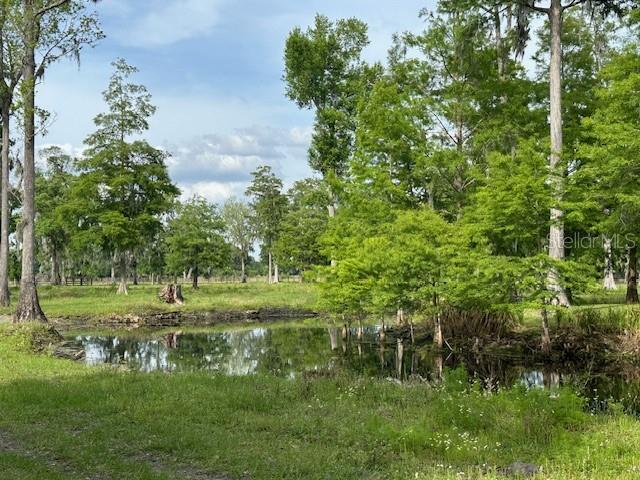 Image 17 of 41 For Tbd Corkwood Lane