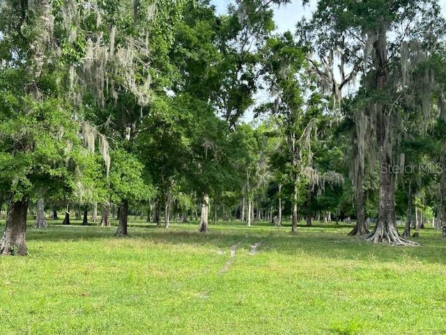Image 19 of 41 For Tbd Corkwood Lane