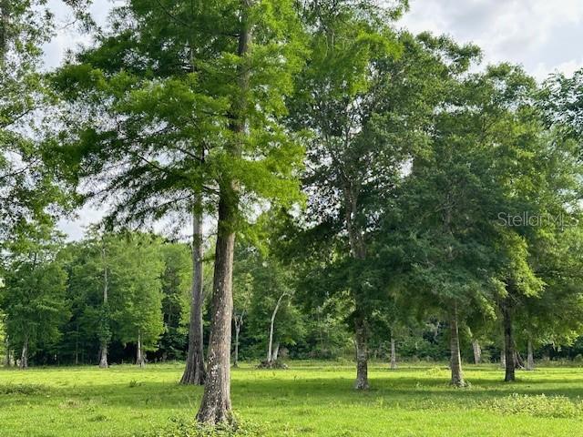 Image 22 of 41 For Tbd Corkwood Lane