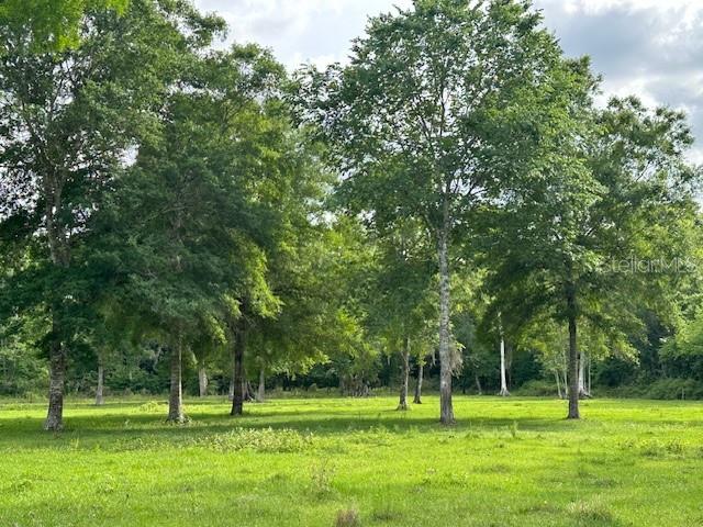 Image 23 of 41 For Tbd Corkwood Lane