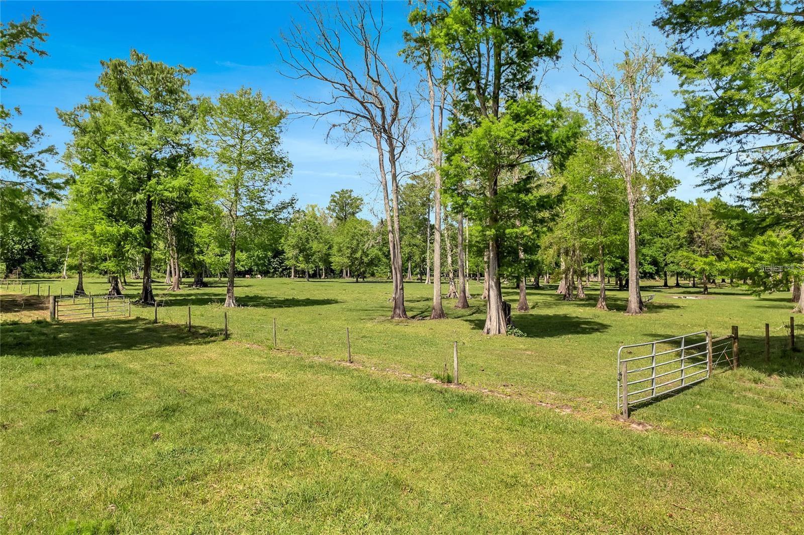 Image 3 of 41 For Tbd Corkwood Lane