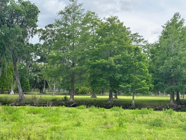 Image 37 of 41 For Tbd Corkwood Lane