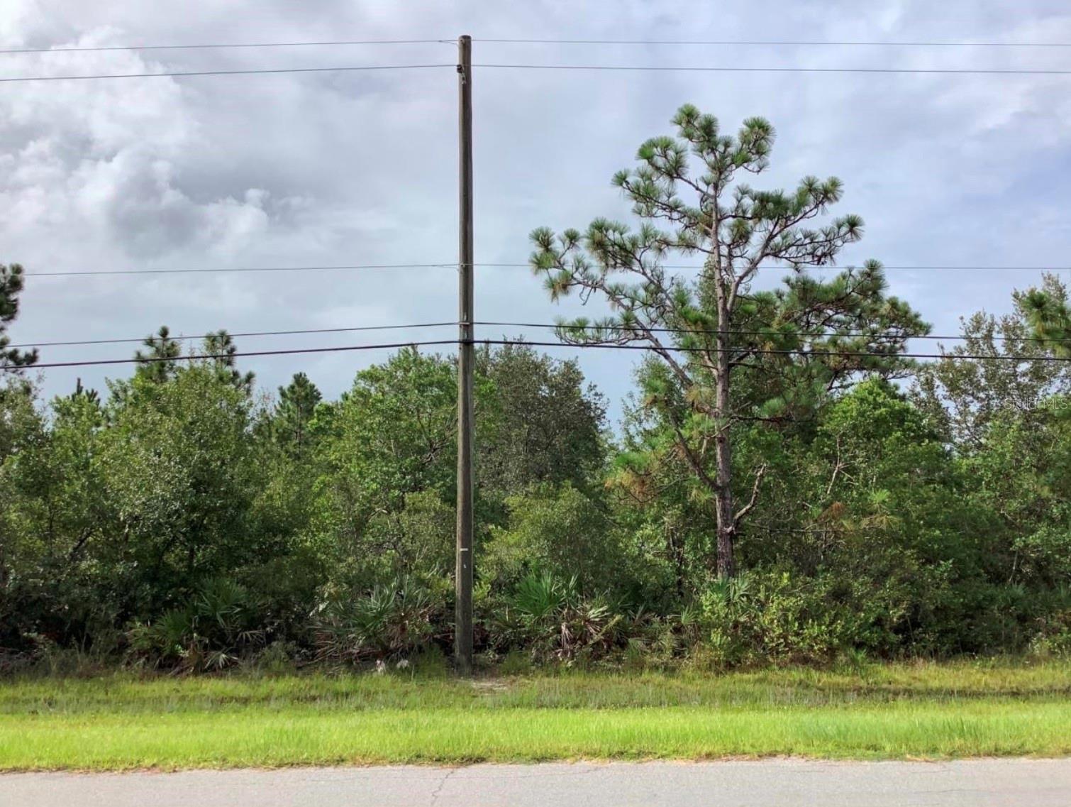 Listing Details for Oberly Parkway, ORLANDO, FL 32833