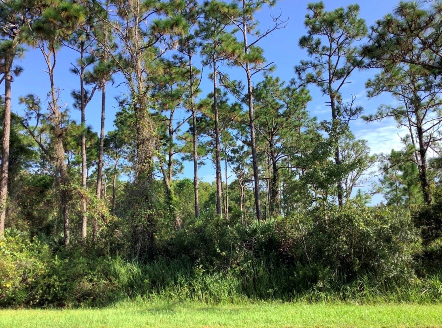 Listing Details for Quinella Street, ORLANDO, FL 32833