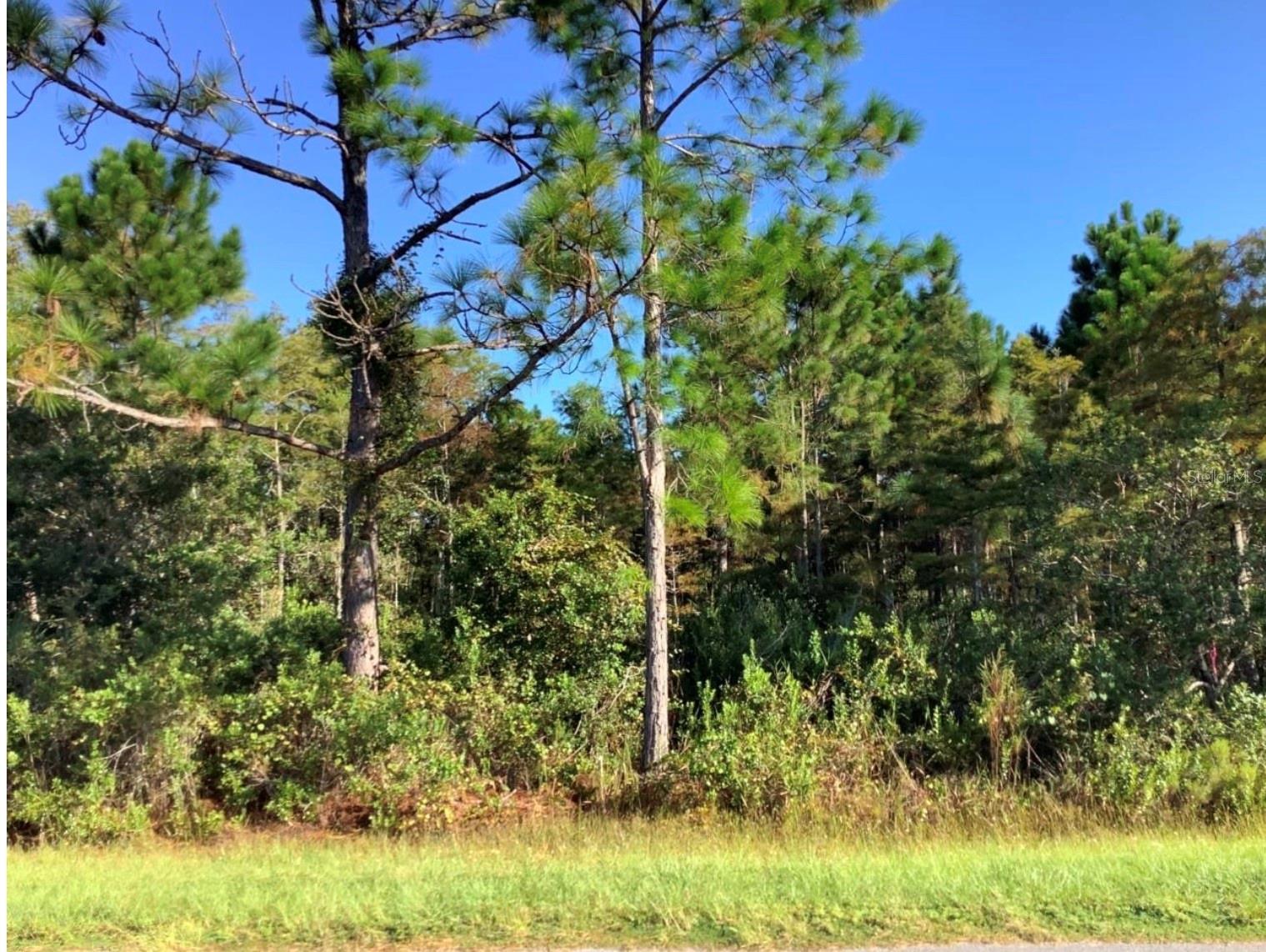Listing Details for Ralston Street, ORLANDO, FL 32833