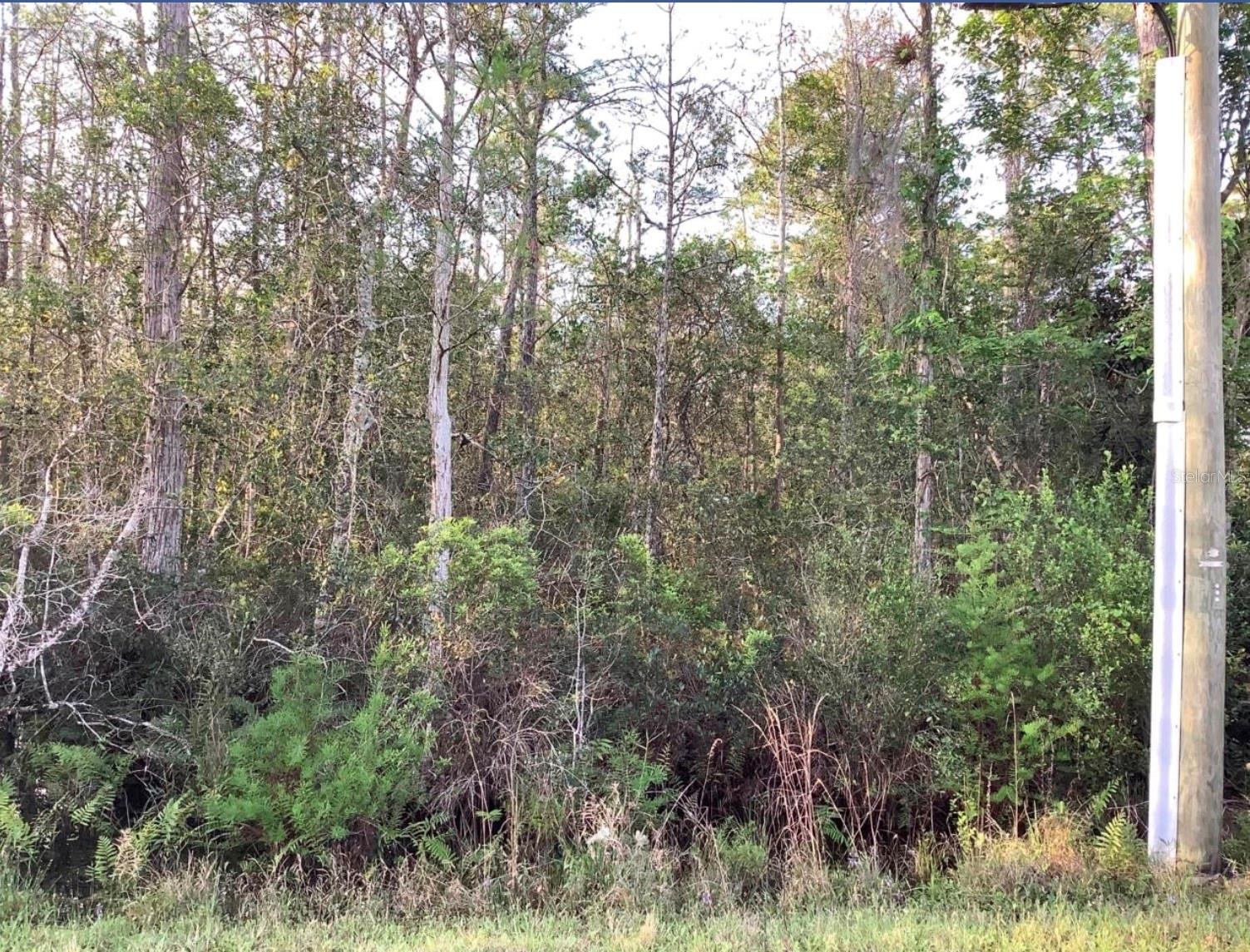 Listing Details for 20828 Quinlan Street, ORLANDO, FL 32833