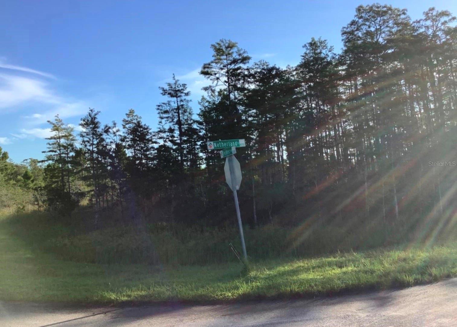 Listing Details for Netherland Street, ORLANDO, FL 32833