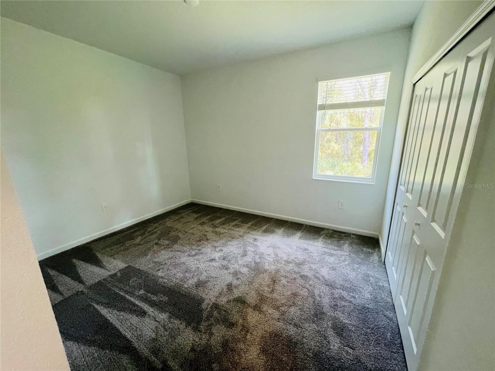 Image 16 of 28 For 2017 Treetop Branch Way