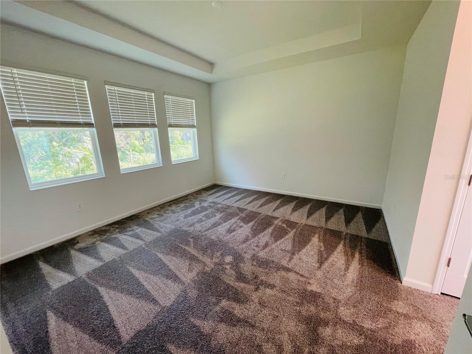 Image 19 of 28 For 2017 Treetop Branch Way