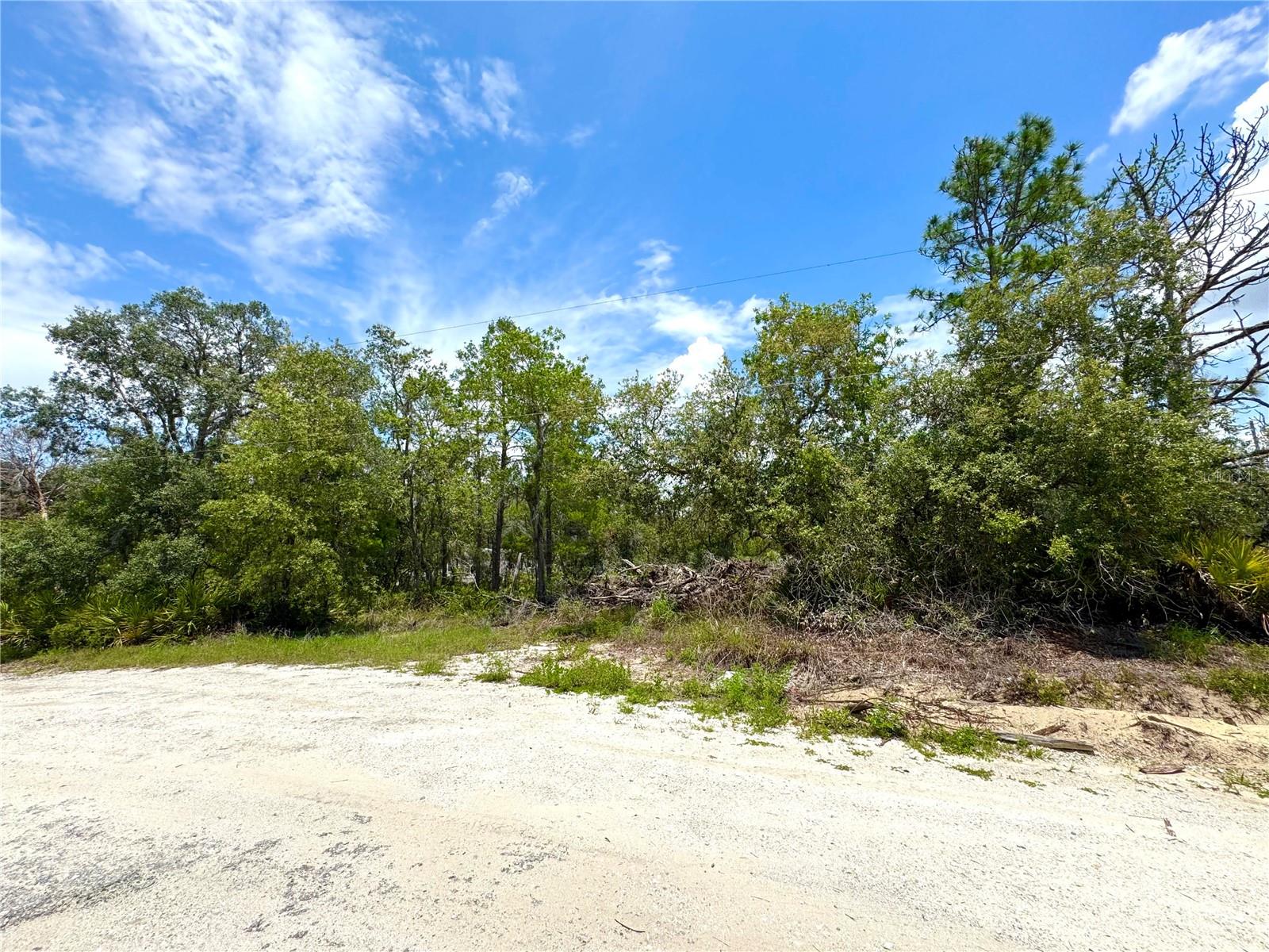 Details for 0 Deer Run Drive, LAKE WALES, FL 33898