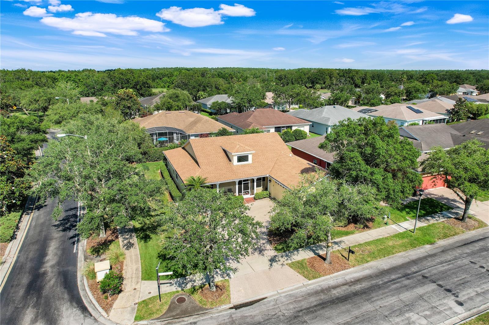 Image 46 of 47 For 217 Lake Cassidy Drive